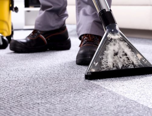 Deep Carpet Cleaning Tips for Airbnb Hosts